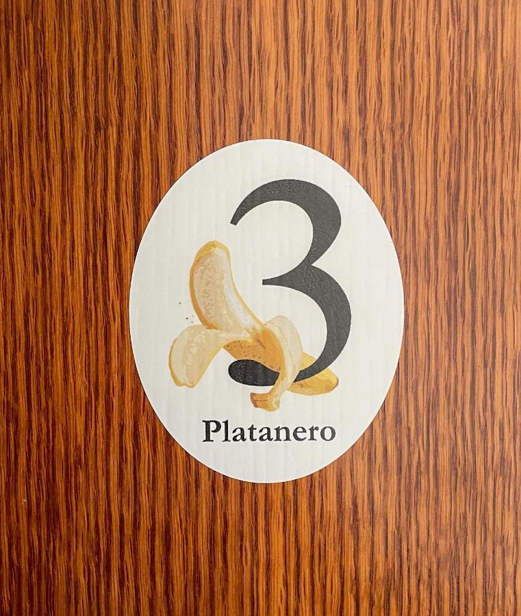 Canary Bio Hostel Tenerife Los Realejos Dış mekan fotoğraf